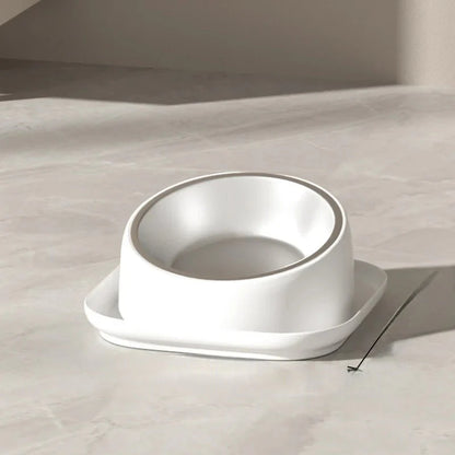 Ergonomic Non-Slip Pet Bowl for Cats and Dogs – Sustainable Plastic Design with 45° Incline